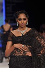 Model walks the ramp for Kays Jewel Show at IIJW Day 3 on 21st Aug 2012 (47).JPG